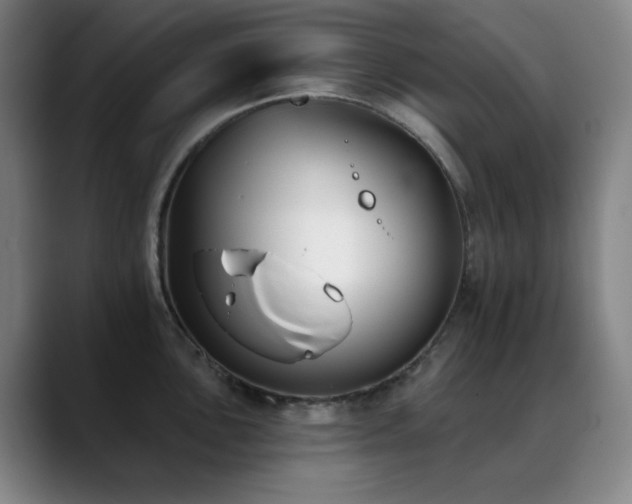 X0000089341051200706151040