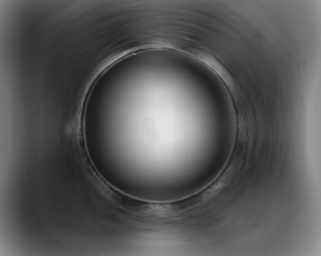 X0000089341052200706151040