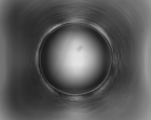 X0000089341053200706151040