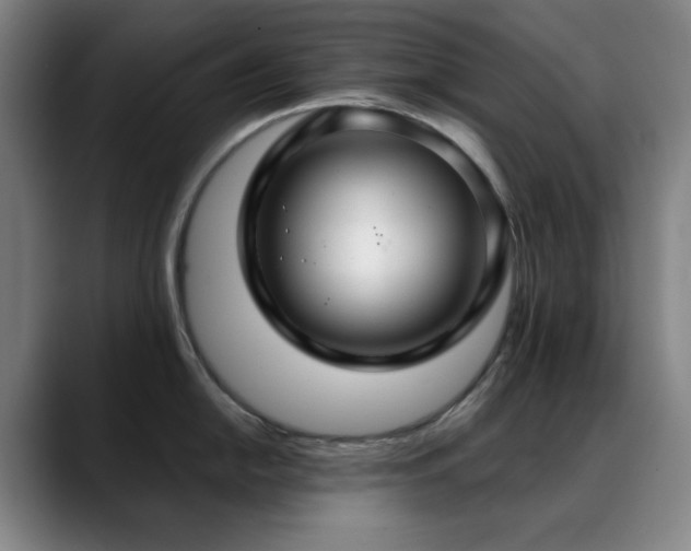 X0000089341054200706151040