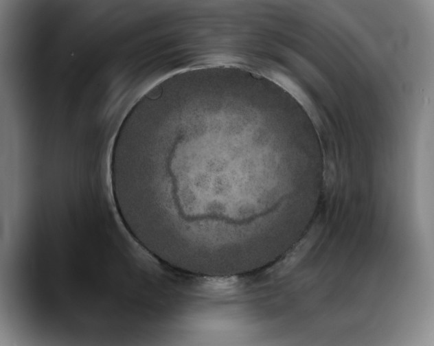 X0000089341055200706151040