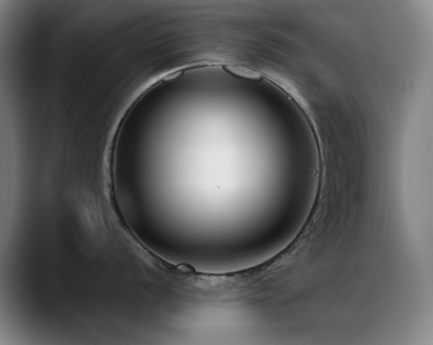 X0000089341056200706151040