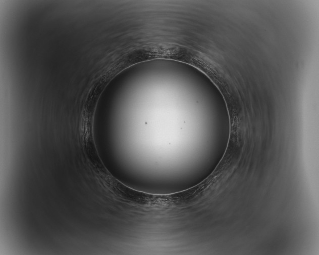 X0000089341058200706151039