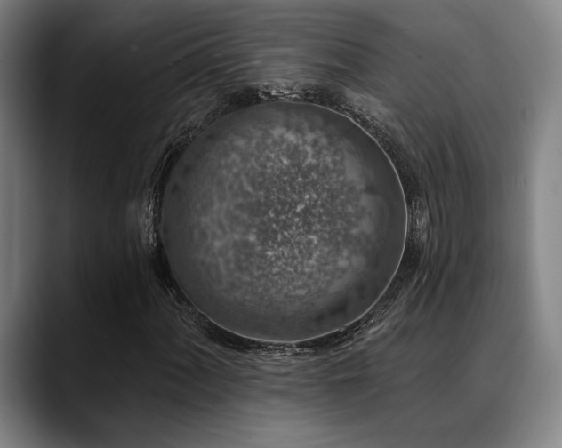 X0000089341060200706151039