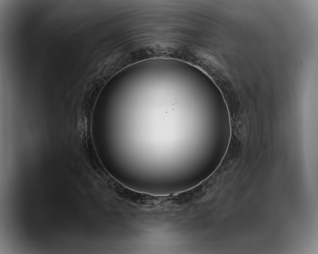 X0000089341061200706151039