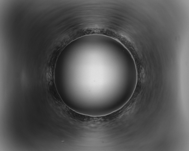 X0000089341062200706151039