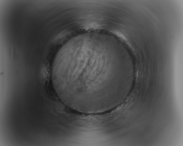 X0000089341063200706151039