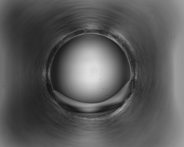 X0000089341065200706151039