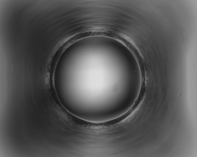 X0000089341066200706151039