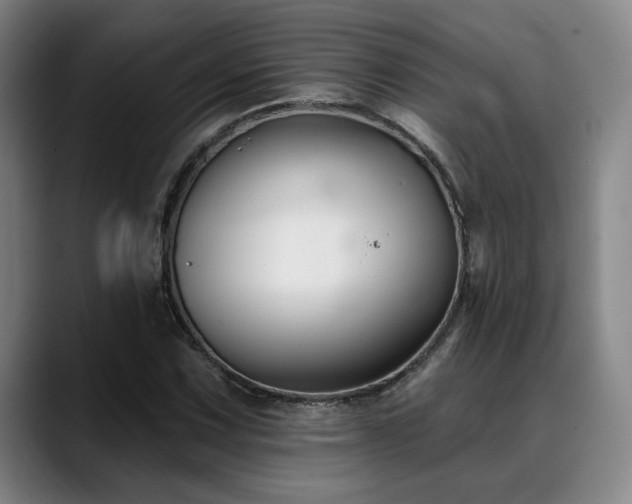 X0000089341067200706151039