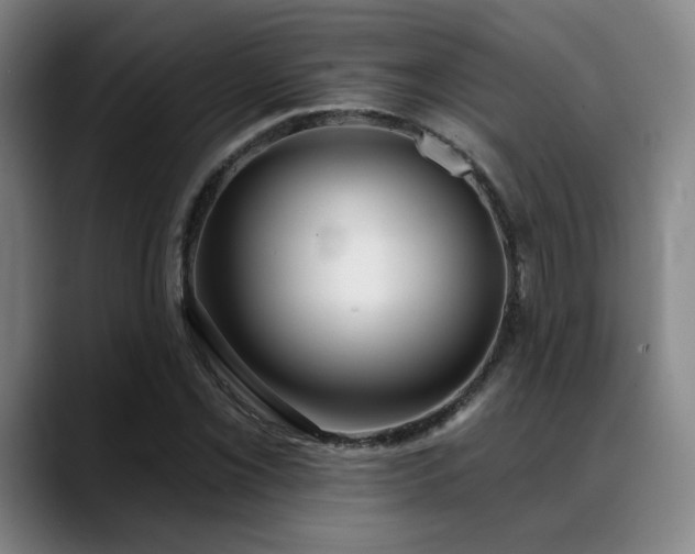 X0000089341069200706151039