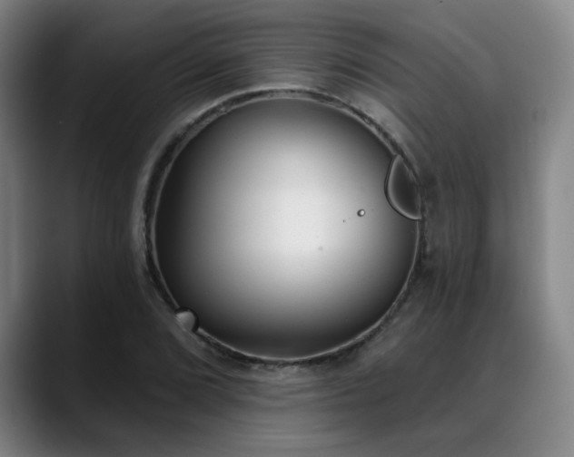 X0000089341072200706151039