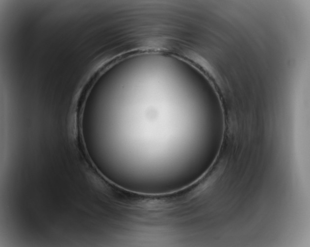 X0000089341075200706151039
