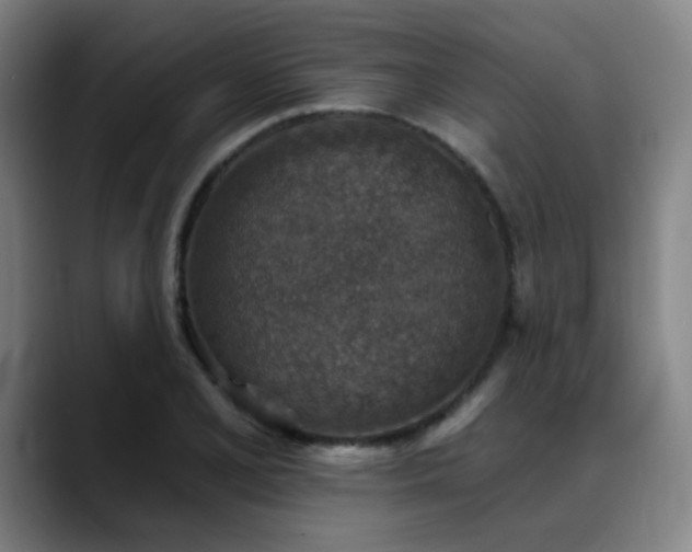 X0000089341077200706151039