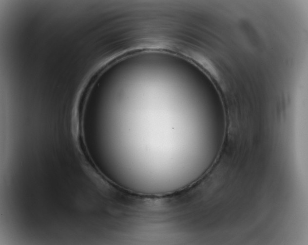 X0000089341080200706151039