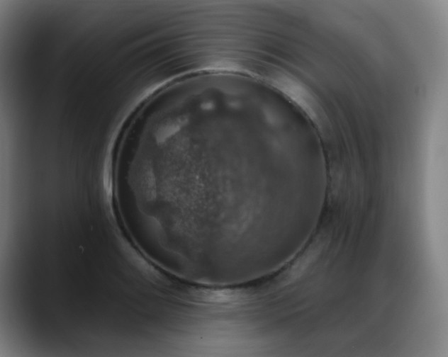 X0000089341084200706151039