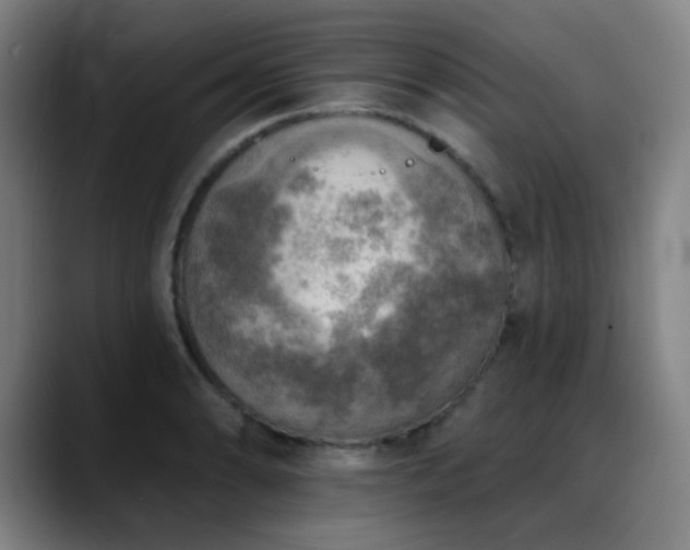 X0000089341086200706151039