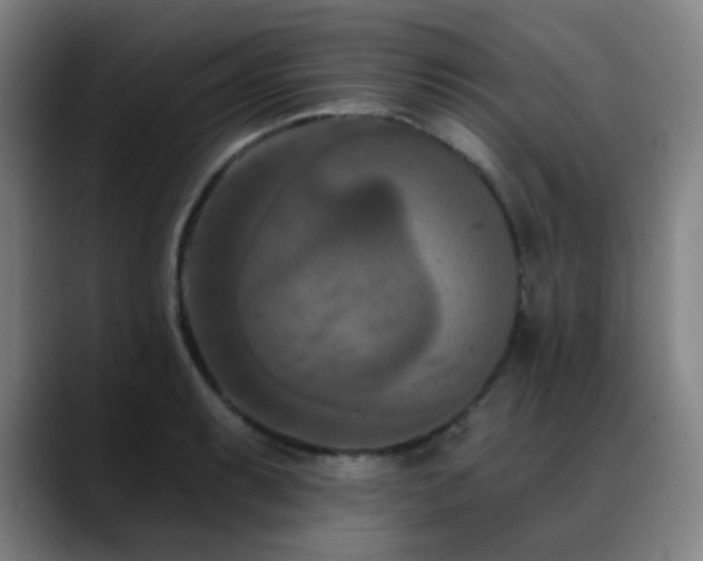 X0000089341087200706151039
