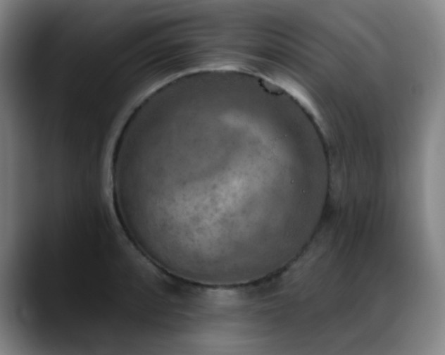 X0000089341088200706151039