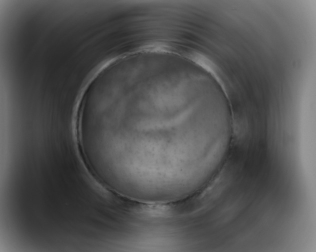 X0000089341090200706151039