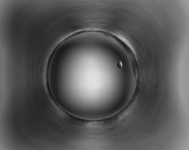 X0000089341093200706151039