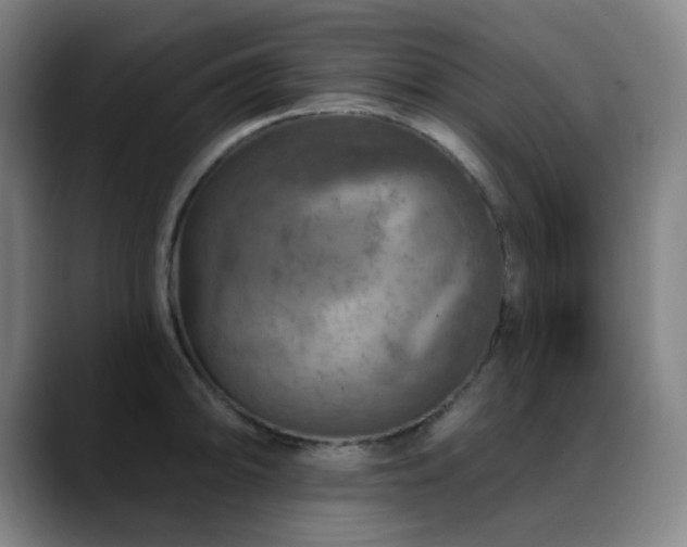 X0000089341094200706151039