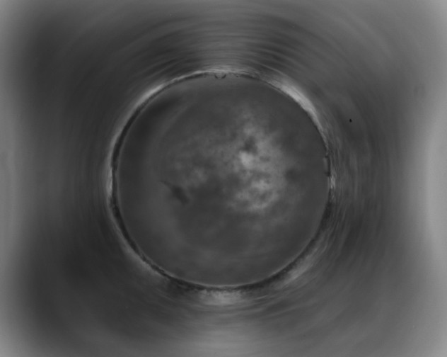 X0000089341095200706151039