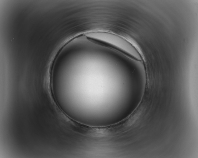 X0000089341096200706151039