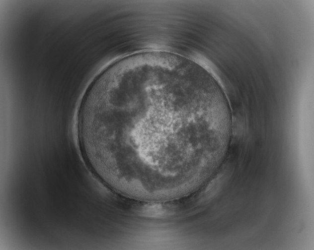 X0000089341098200706151039
