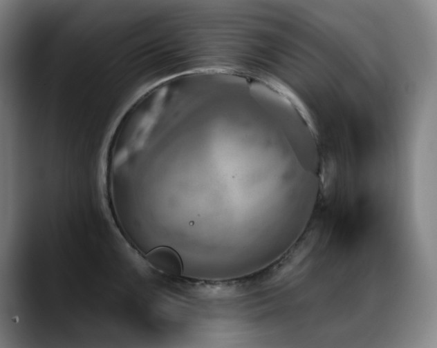 X0000089341099200706151039