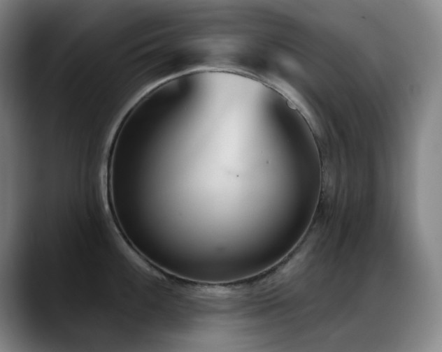 X0000089341100200706151039