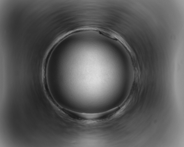 X0000089341101200706151039