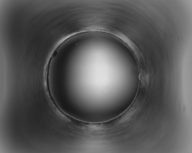 X0000089341102200706151039