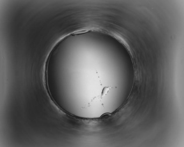 X0000089341103200706151039