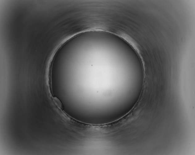 X0000089341104200706151039