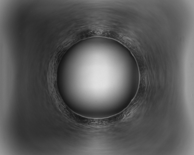 X0000089341105200706151038