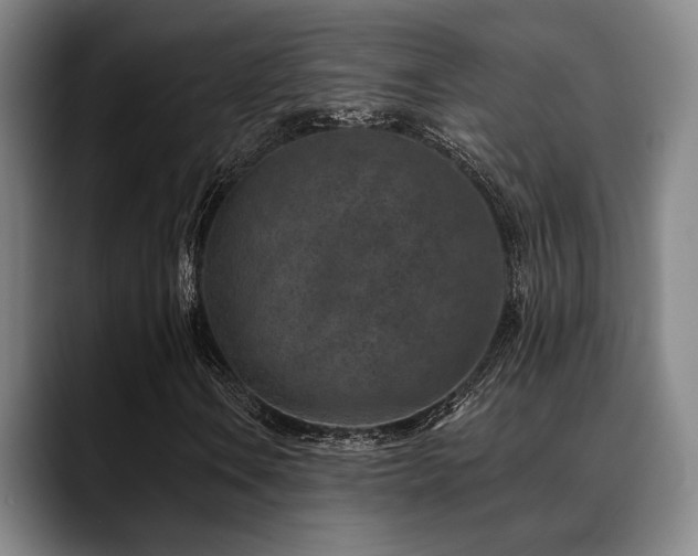 X0000089341106200706151038