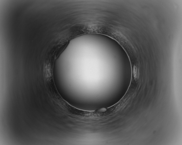 X0000089341107200706151038