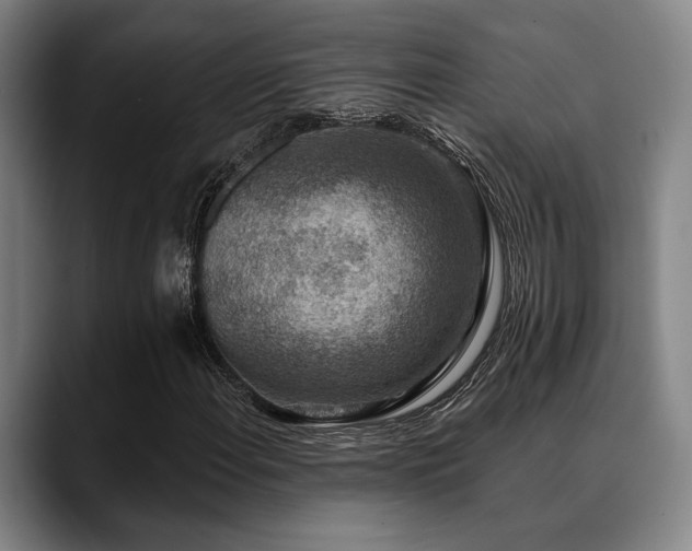 X0000089341108200706151038