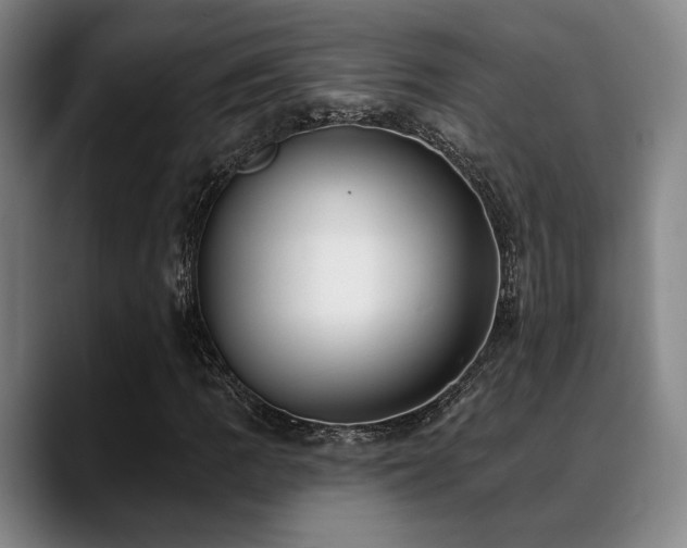 X0000089341109200706151038