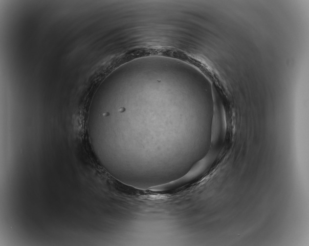 X0000089341110200706151038