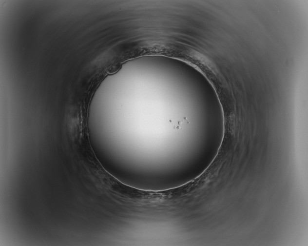 X0000089341111200706151038