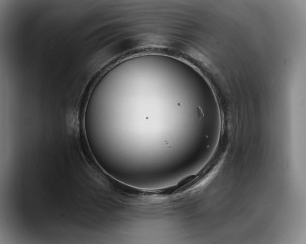 X0000089341113200706151038