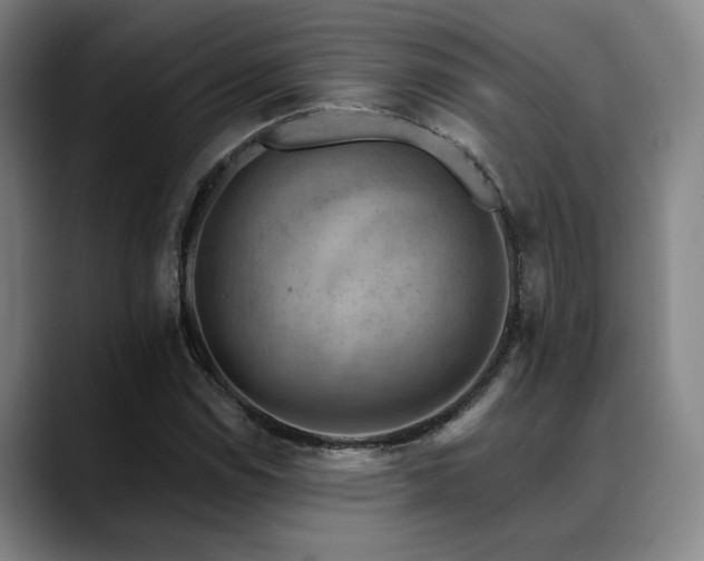 X0000089341114200706151038