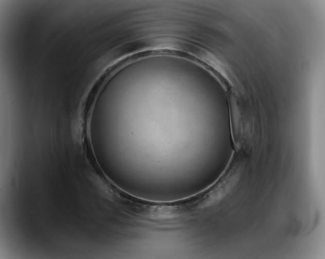 X0000089341116200706151038