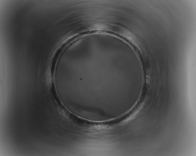 X0000089341117200706151038