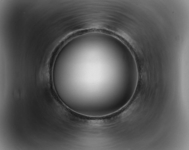 X0000089341118200706151038
