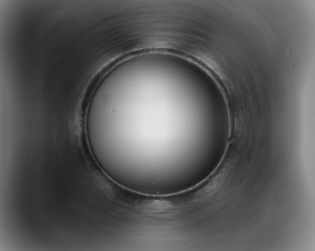 X0000089341119200706151038