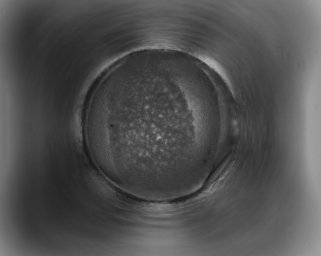 X0000089341120200706151038