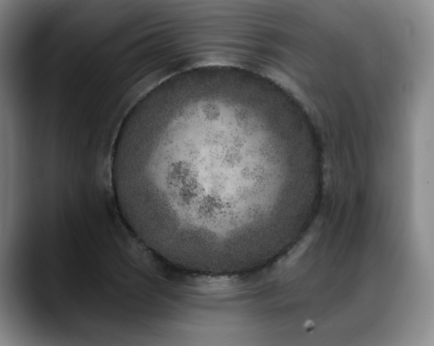 X0000089341121200706151038